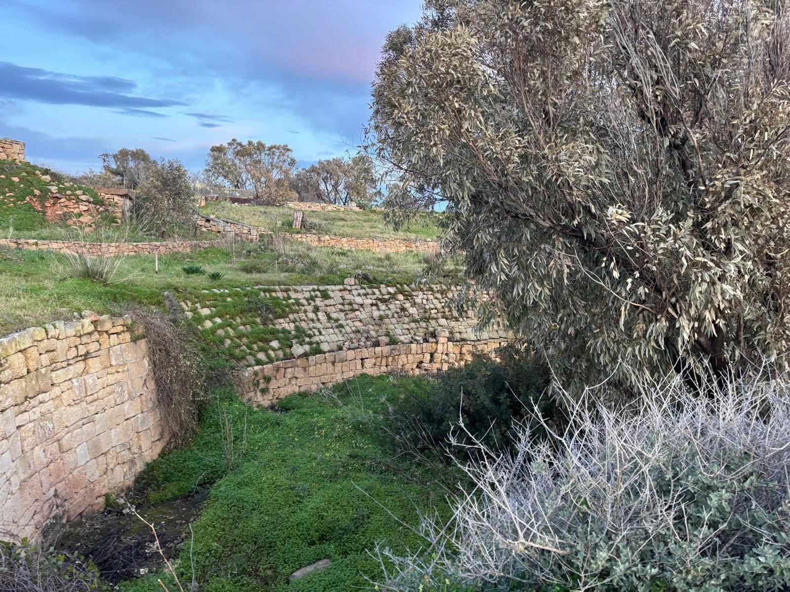Fort Bengħisa (Il-Fortizza ta’ Bengħisa)