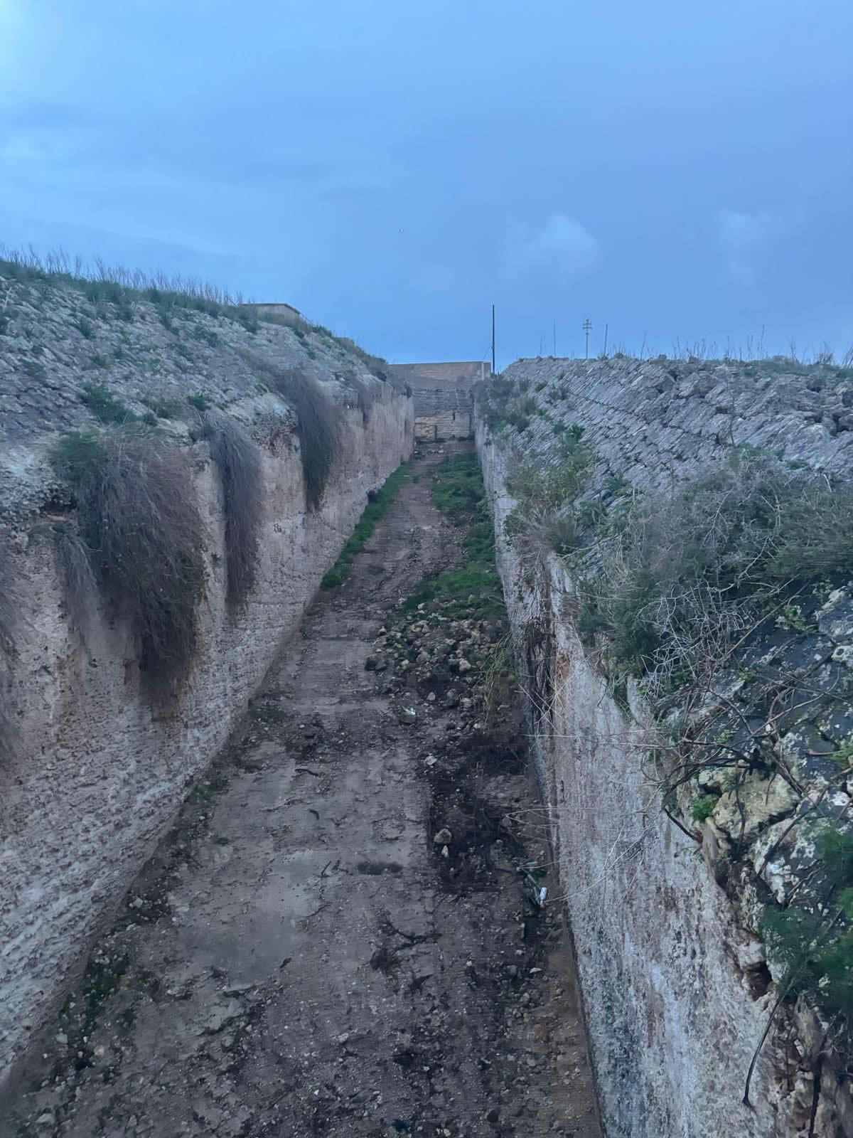 Fort Binġemma (Fort Bingemma)