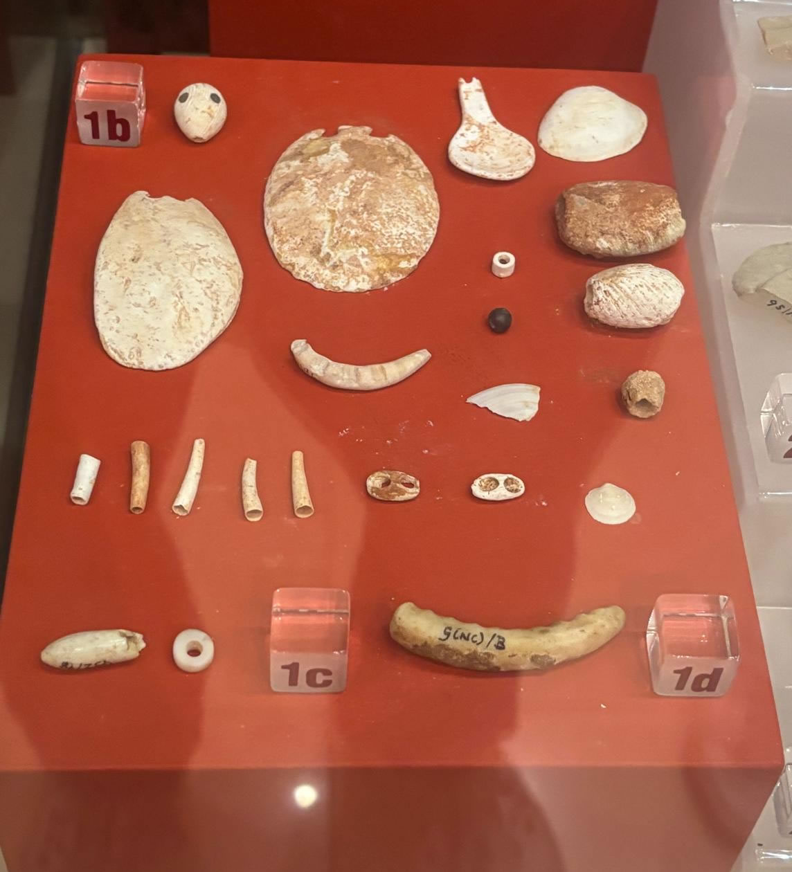 Gozo Museum of Archaeology