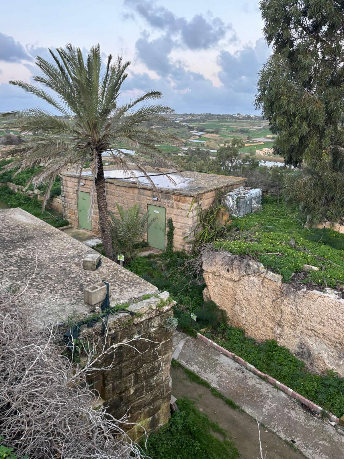Tarġa Battery (Batterija tat-Tarġa) — Mosta, Malta