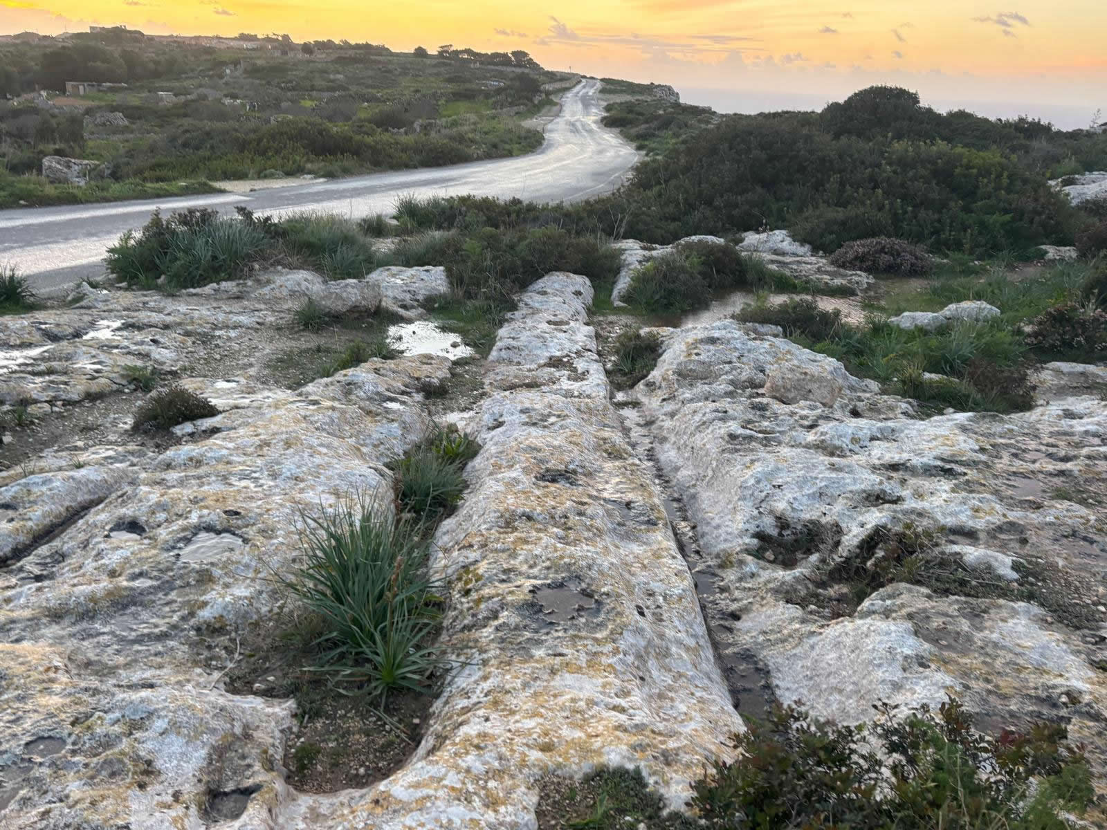 Cart Ruts near Dingli Cliffs