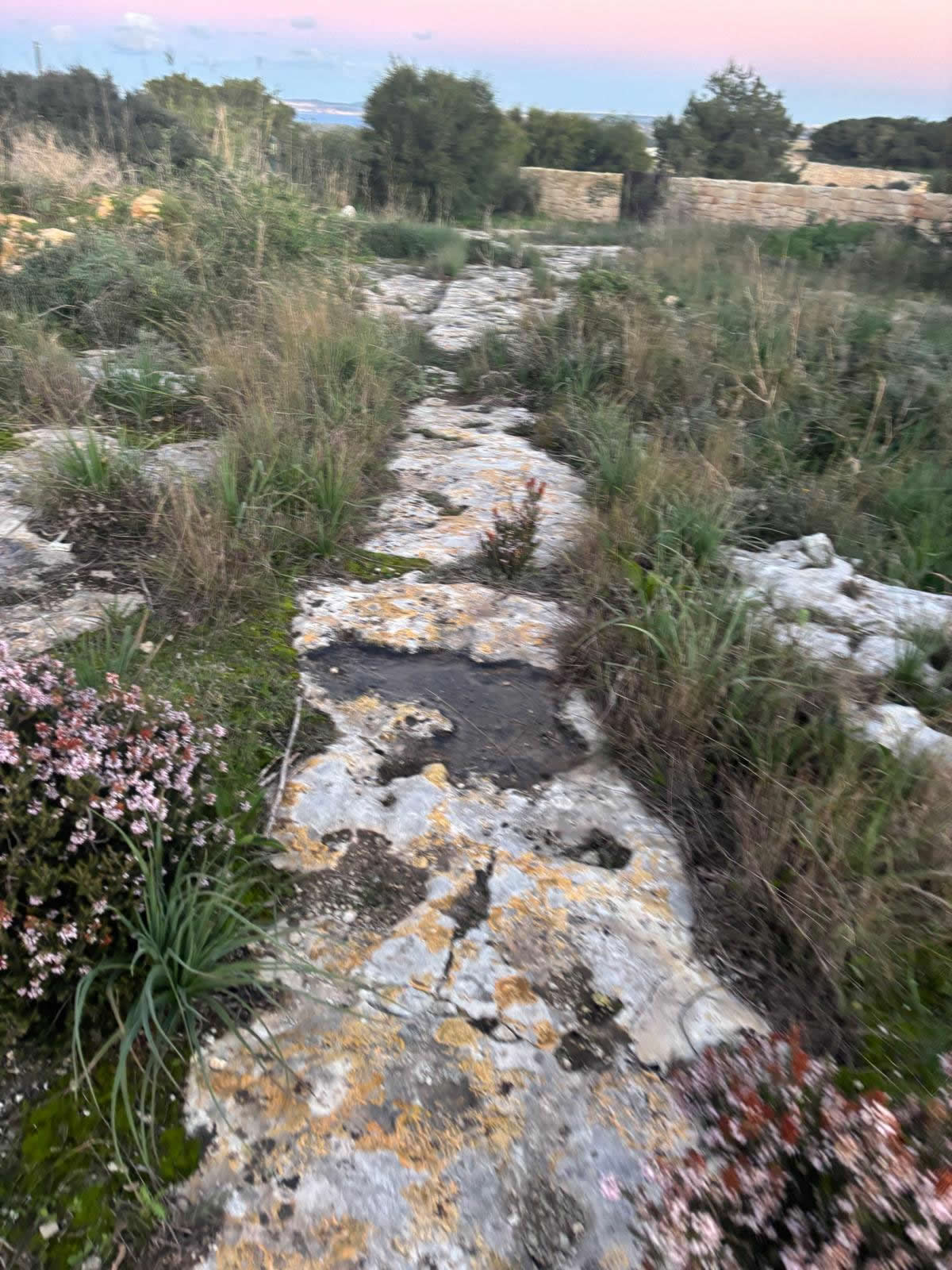 Cart ruts near Our Lady of Hodegetria Chapel (Rabat / Bingemma)
