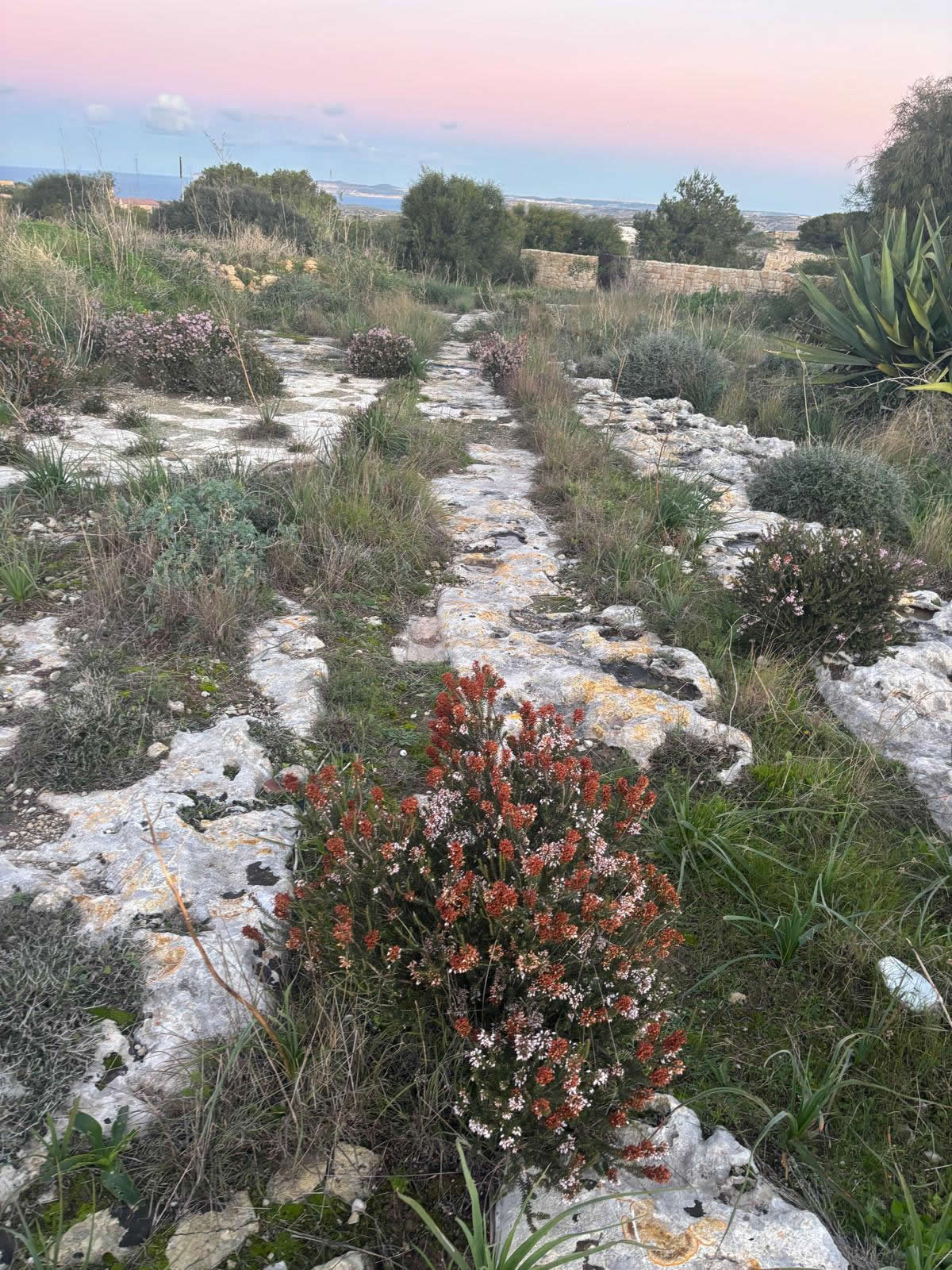 Cart ruts near Our Lady of Hodegetria Chapel (Rabat / Bingemma)