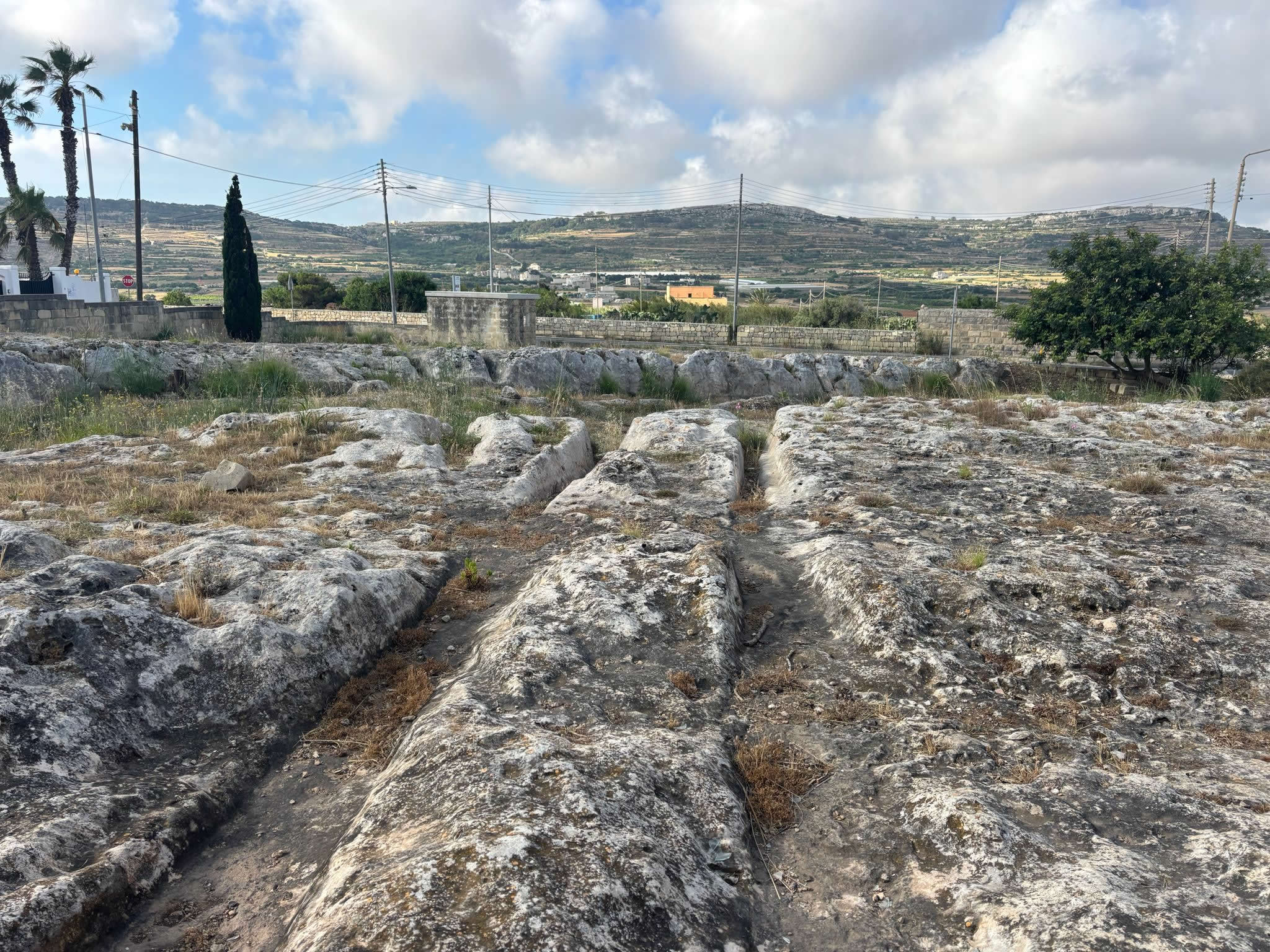 Ancient cart ruts near Mgarr Malta carved into limestone bedrock
