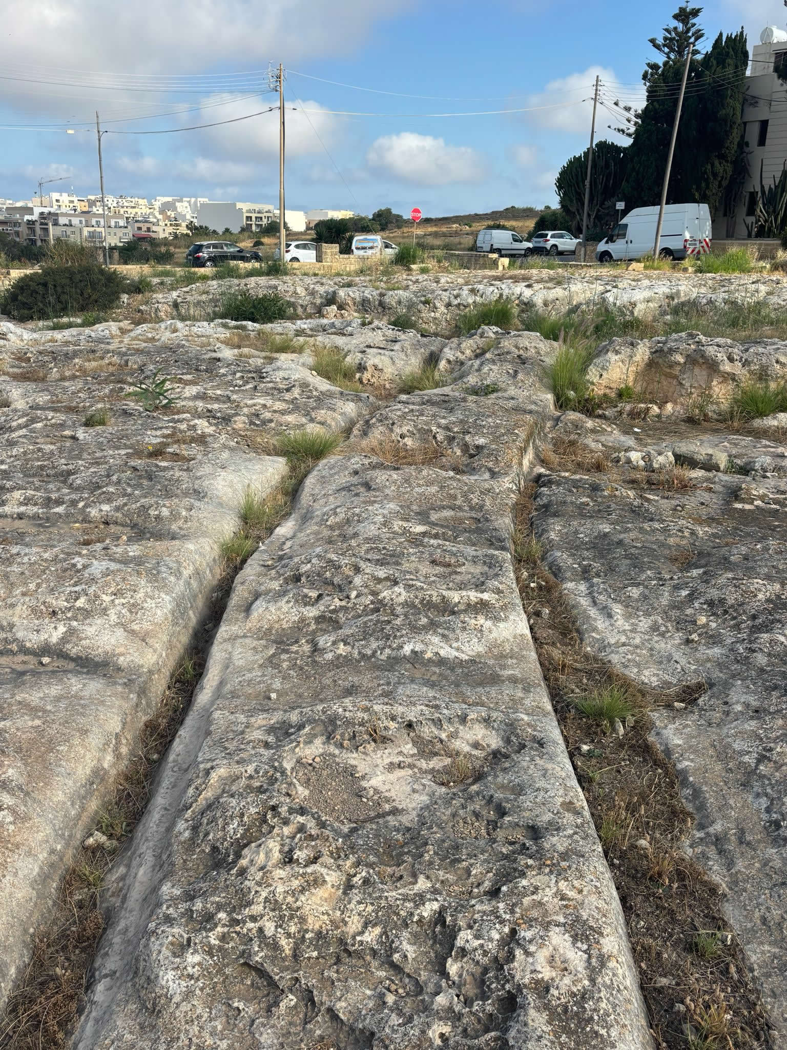 Ancient cart ruts near Mgarr Malta carved into limestone bedrock