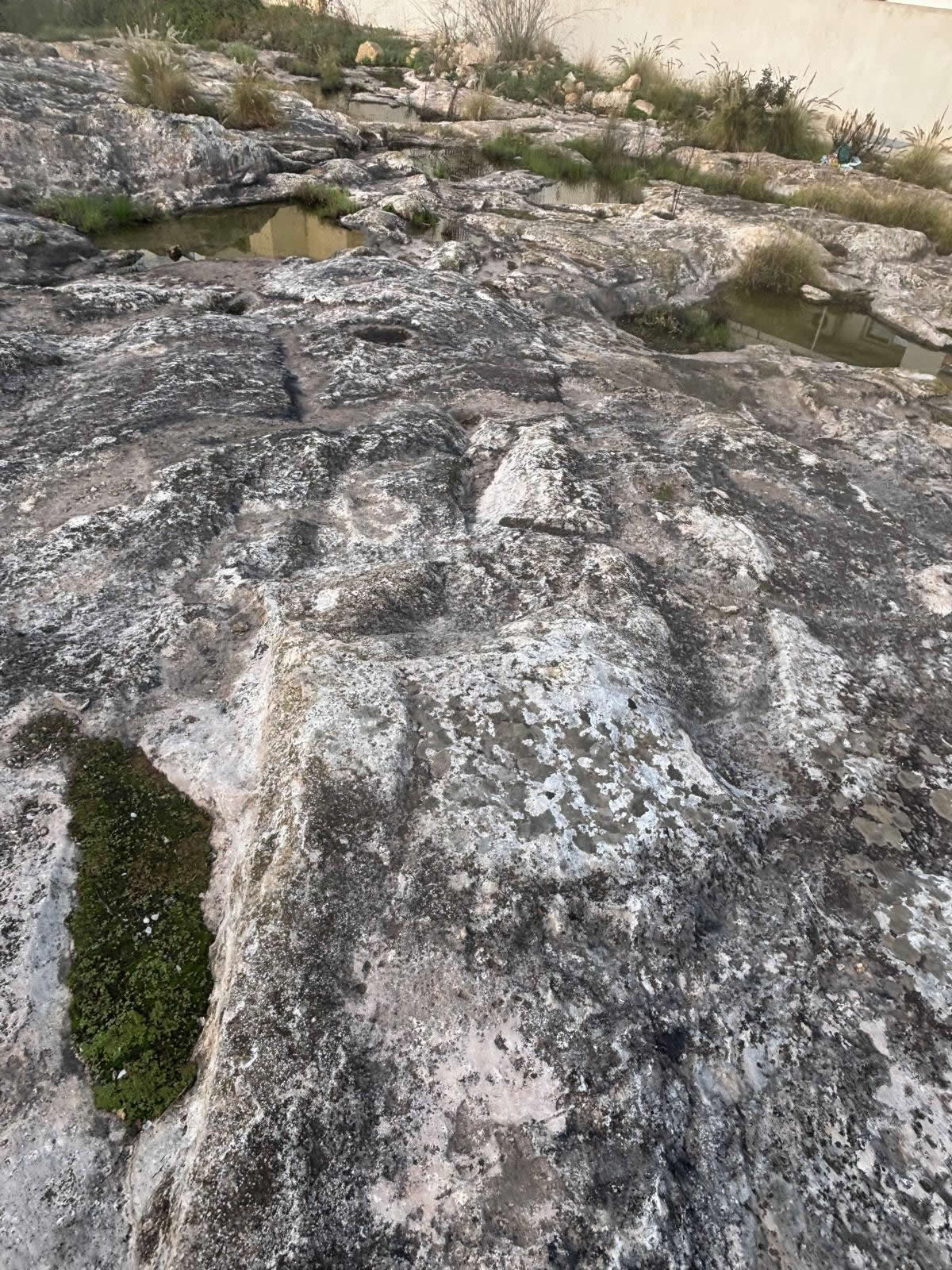 Salini Cart Ruts (Naxxar)