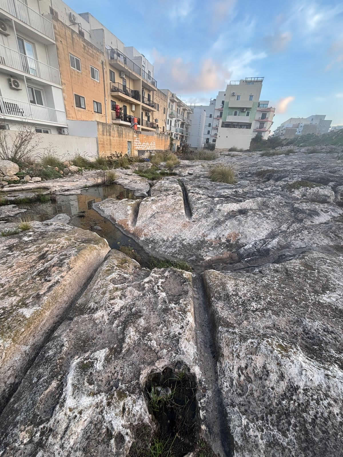 Salini Cart Ruts (Naxxar)
