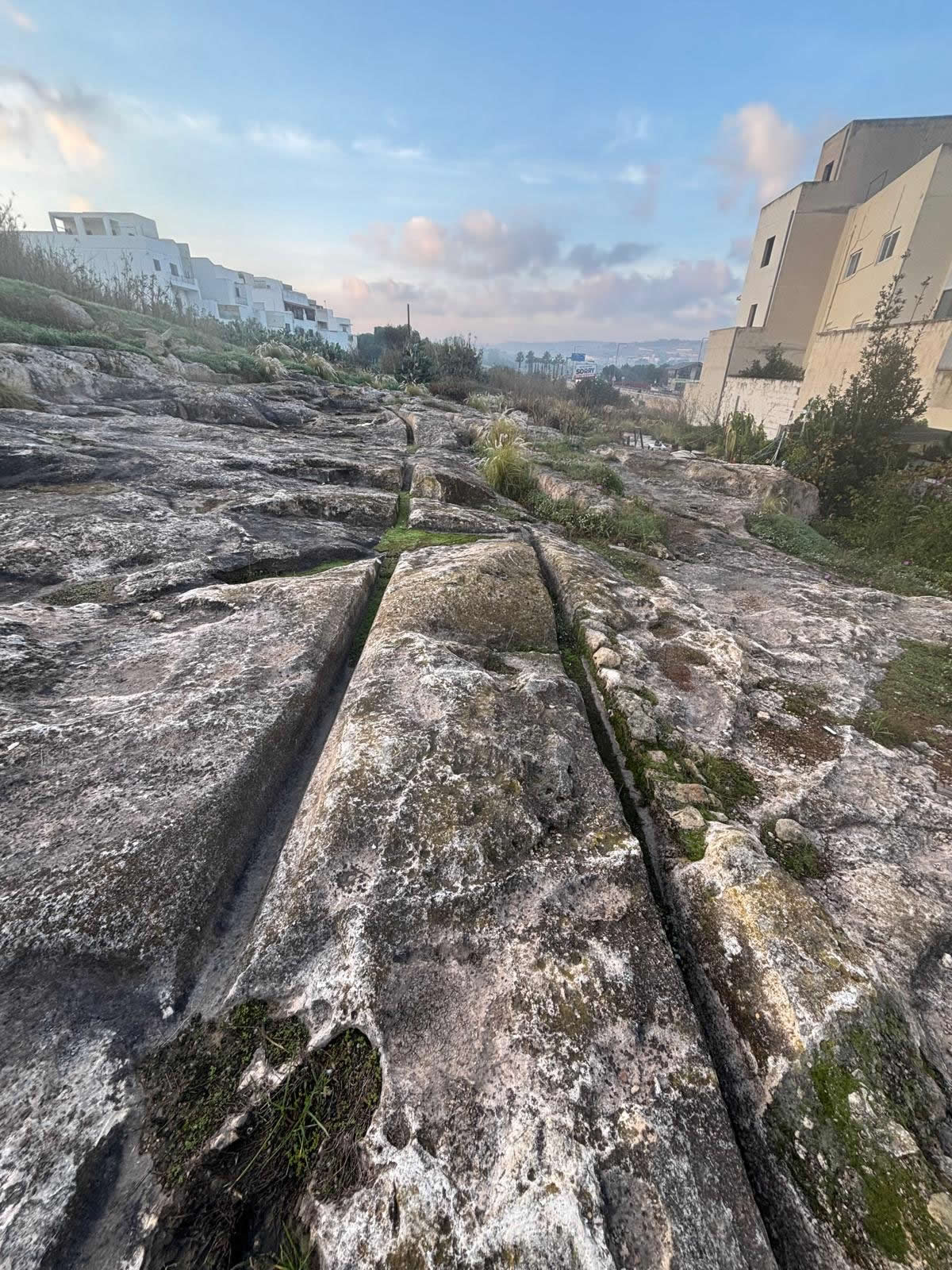 Salini Cart Ruts (Naxxar)