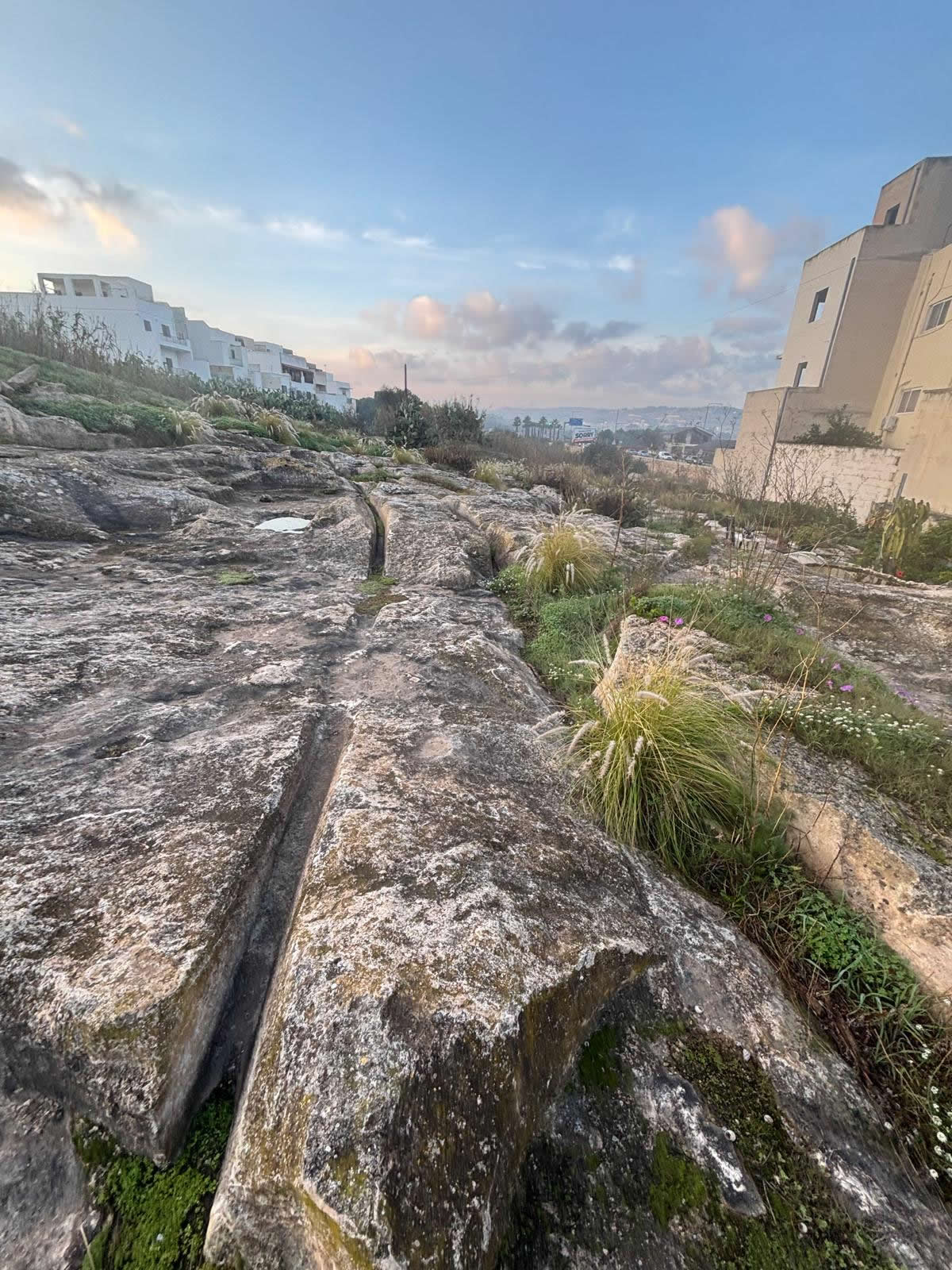 Salini Cart Ruts (Naxxar)