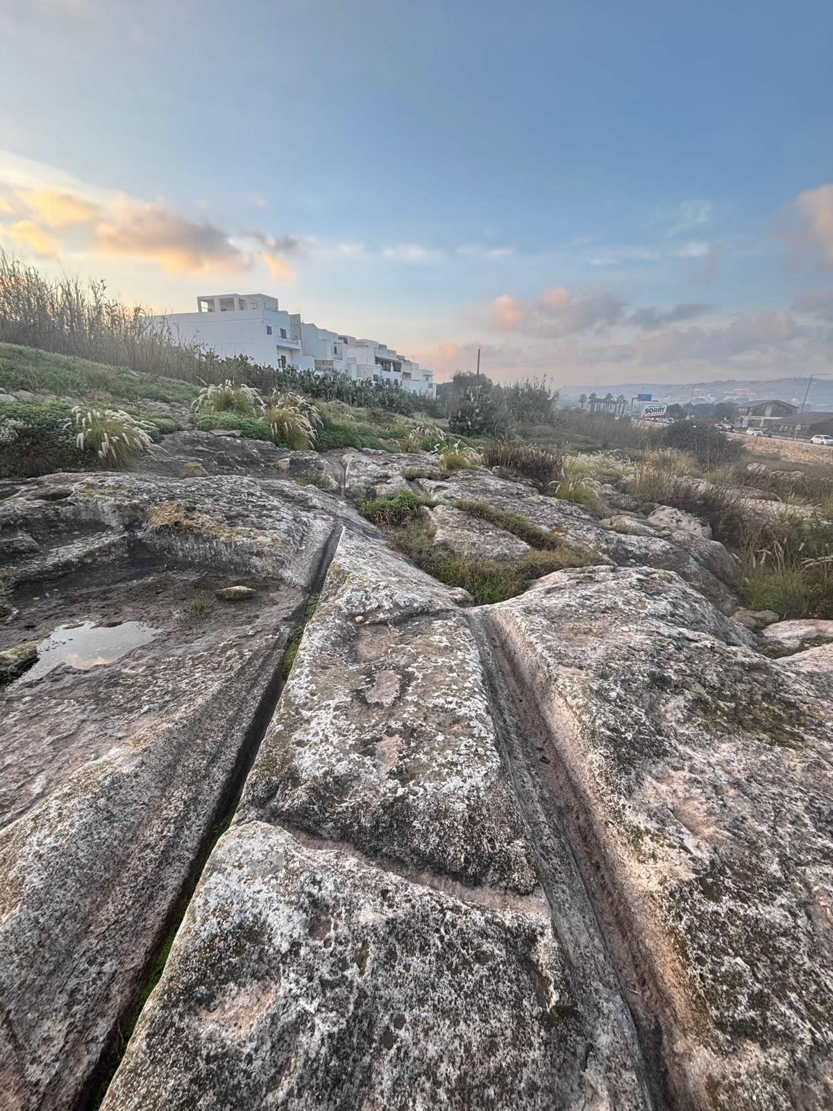 Salini Cart Ruts (Naxxar)