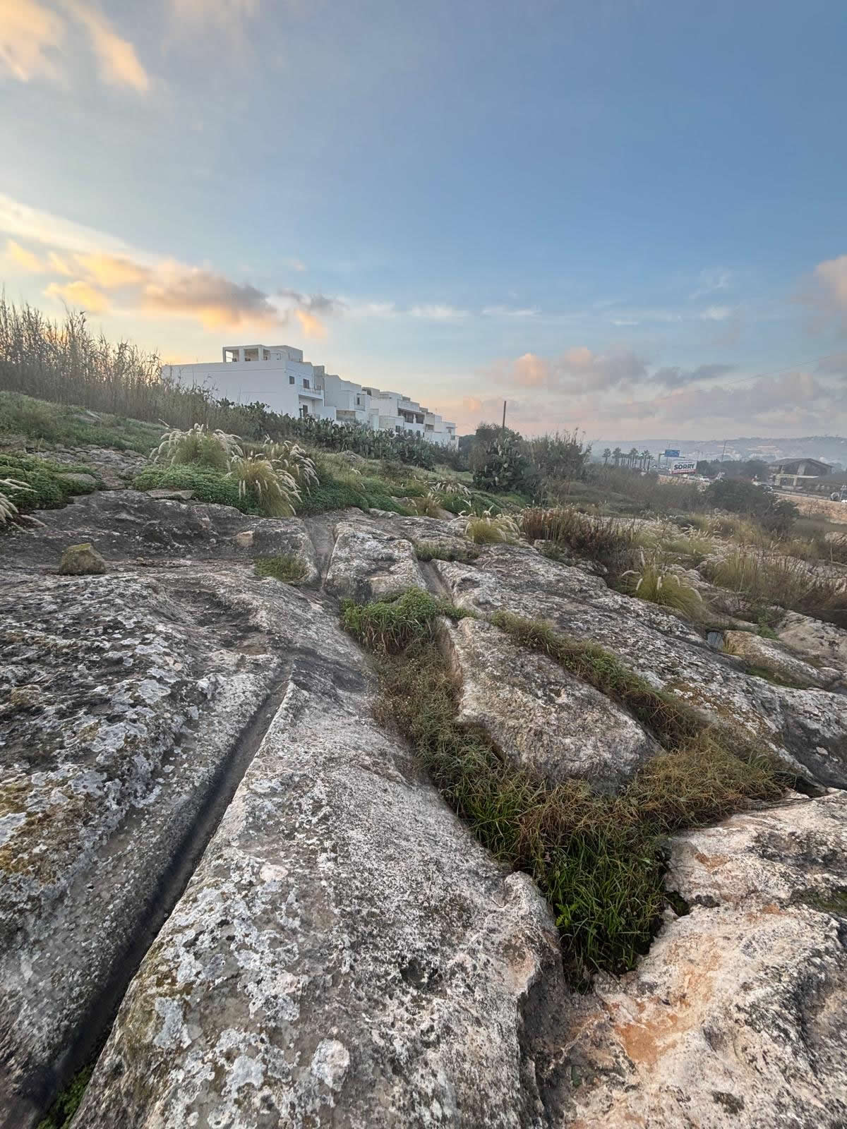 Salini Cart Ruts (Naxxar)