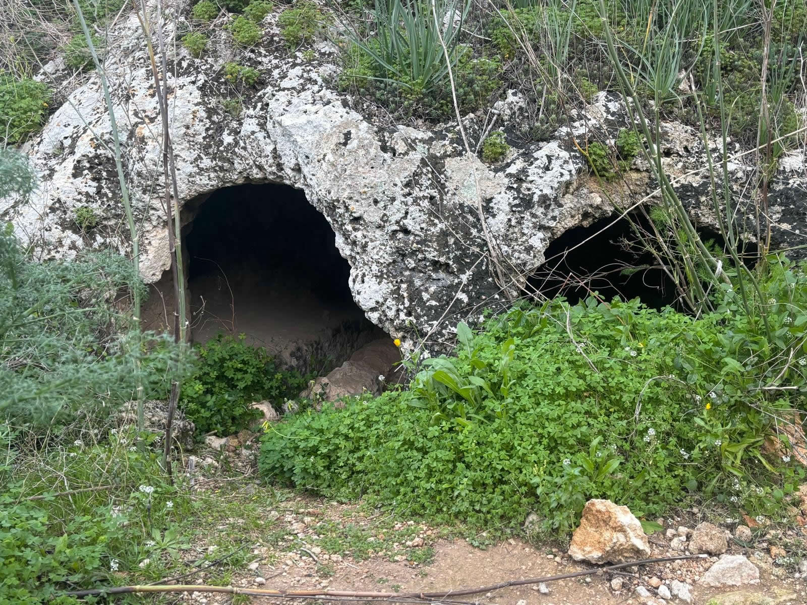 Binġemma Necropolis  (Bingemma Rock-Cut Tombs)