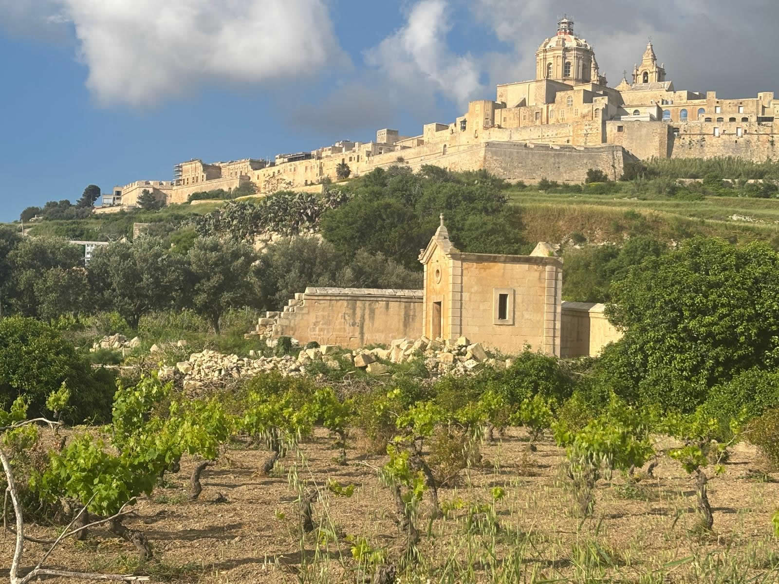 St Anthony Cemetery Rabat Malta