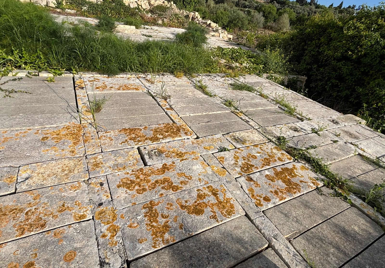 St Anthony Cemetery Rabat Malta