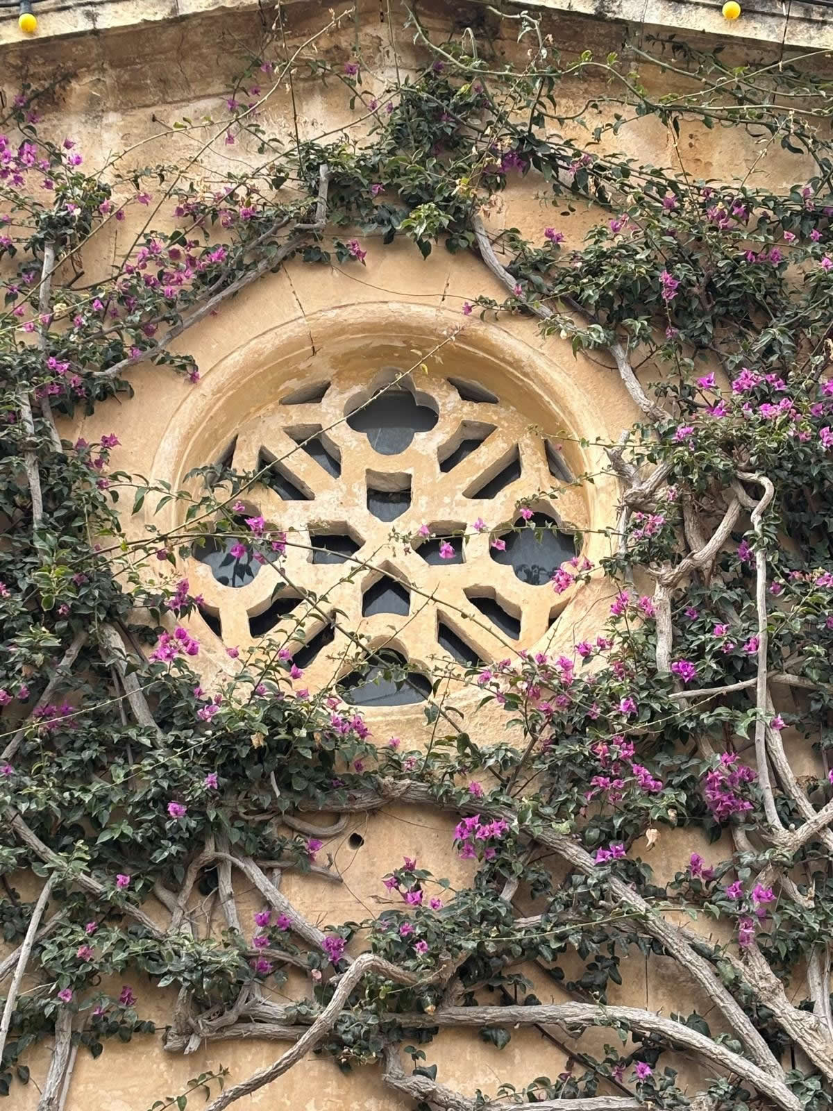 Church of the Immaculate Conception Lija Malta