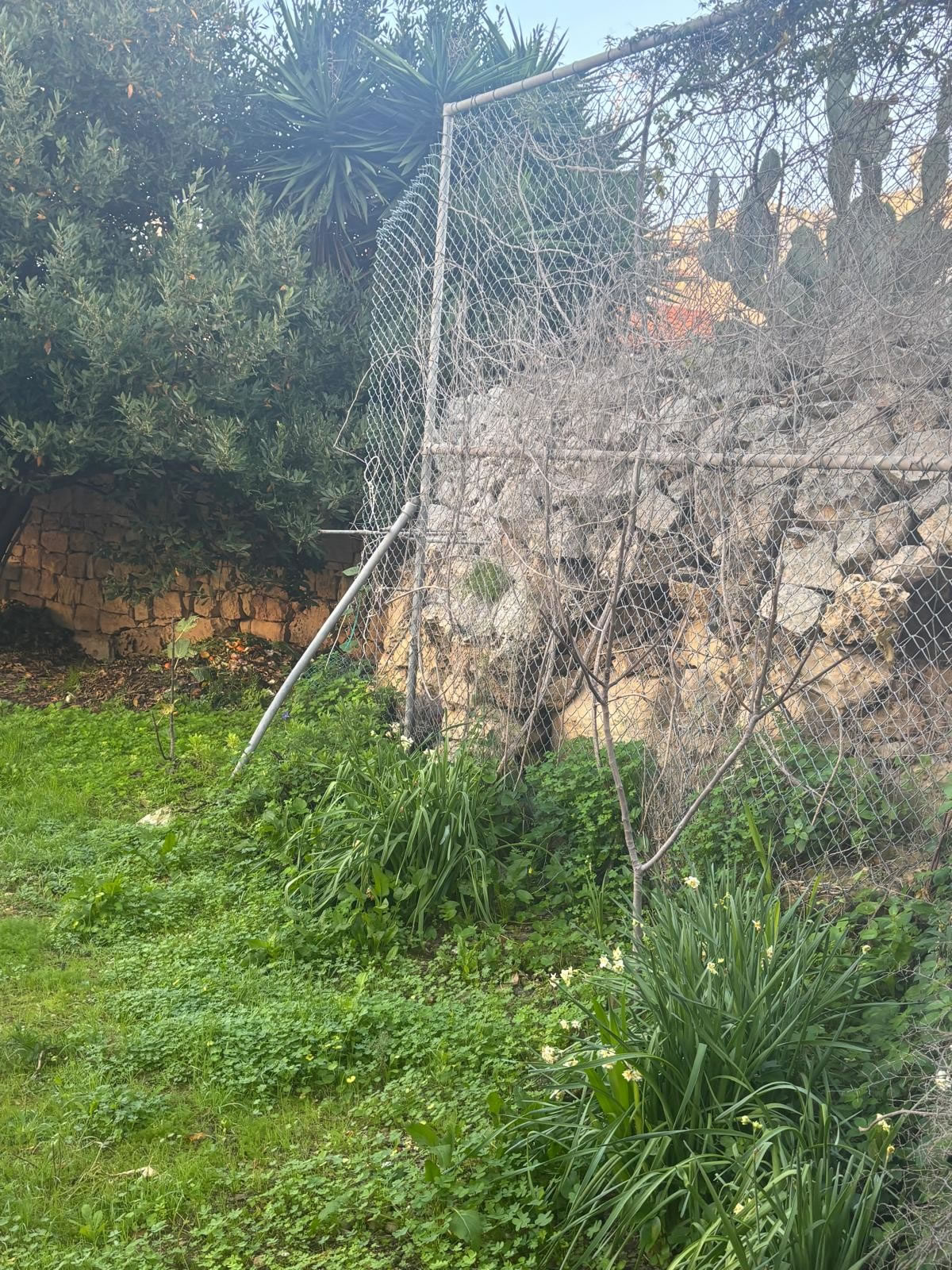 Ta’ Ċieda Tower (San Ġwann Roman Tower)