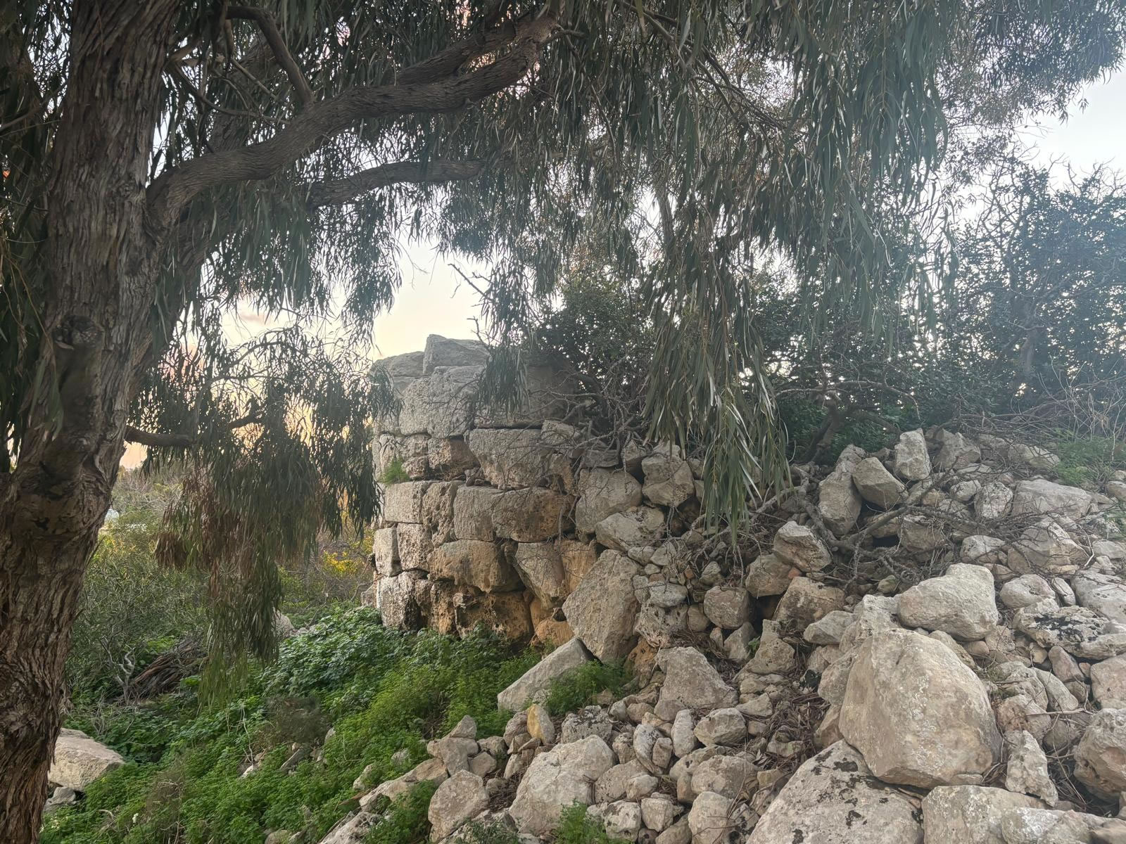 Ta’ Ġawhar Tower (Safi, Malta)