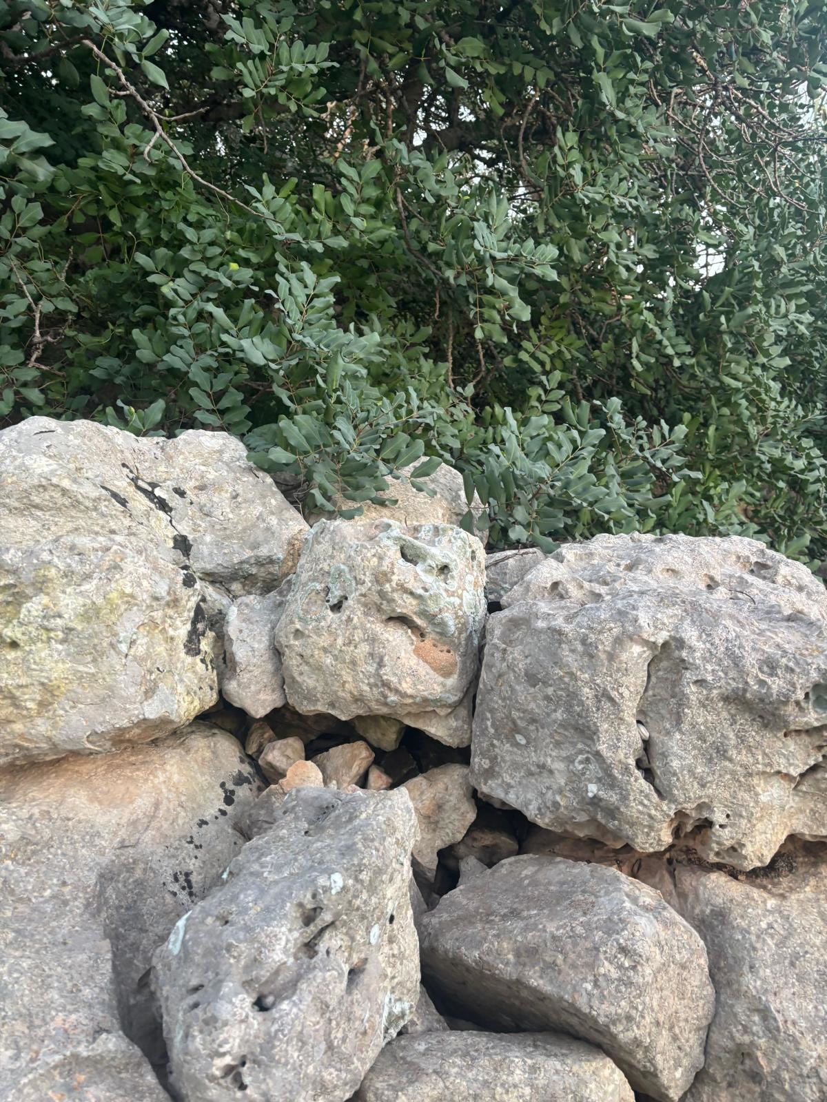 Ta’ Ġawhar Tower (Safi, Malta)