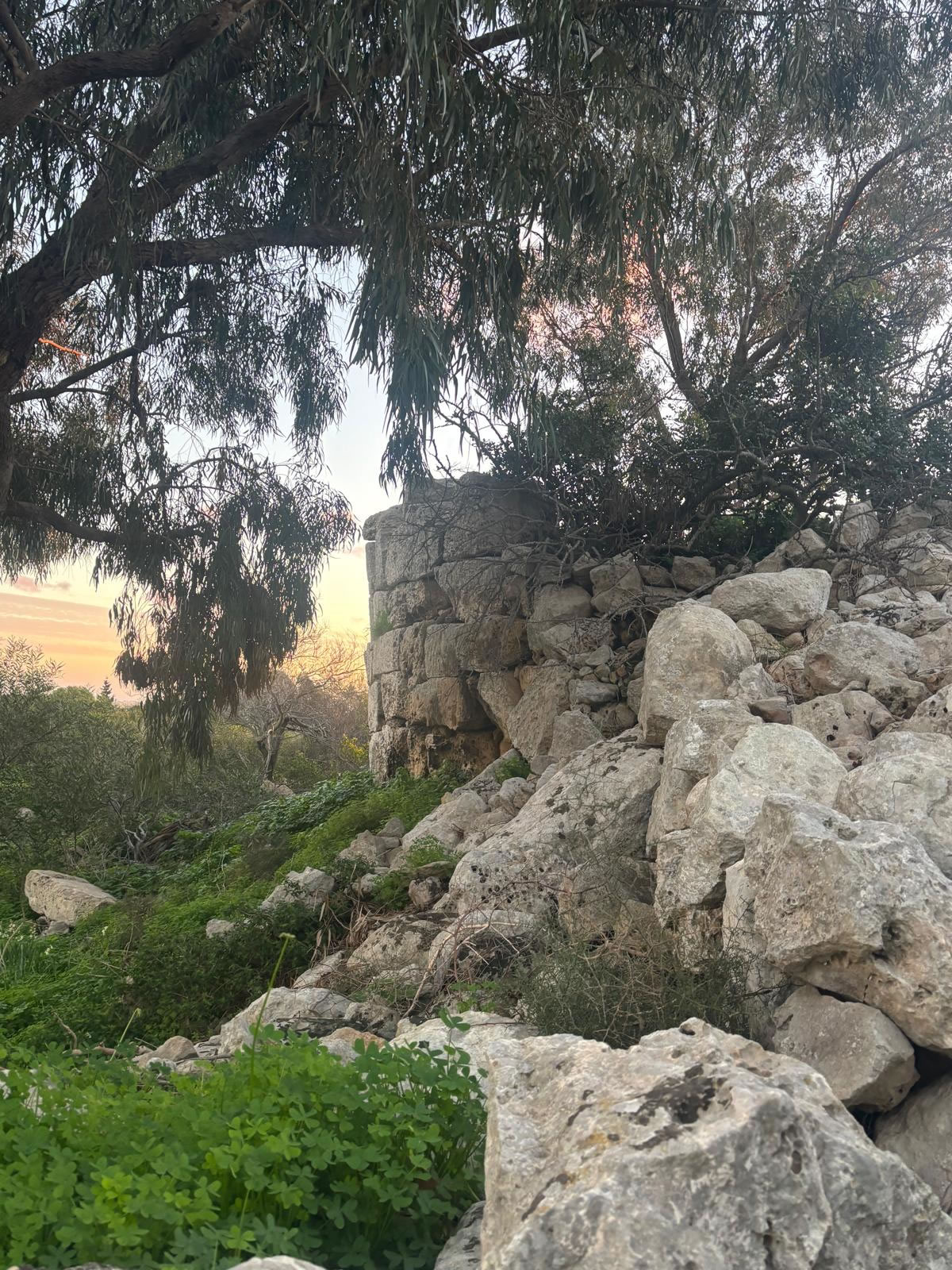 Ta’ Ġawhar Tower (Safi, Malta)