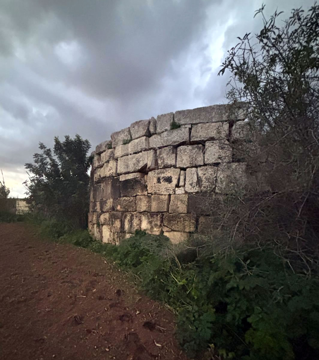 Punic Ta’ Wilġa Tower (L-Imqabba)