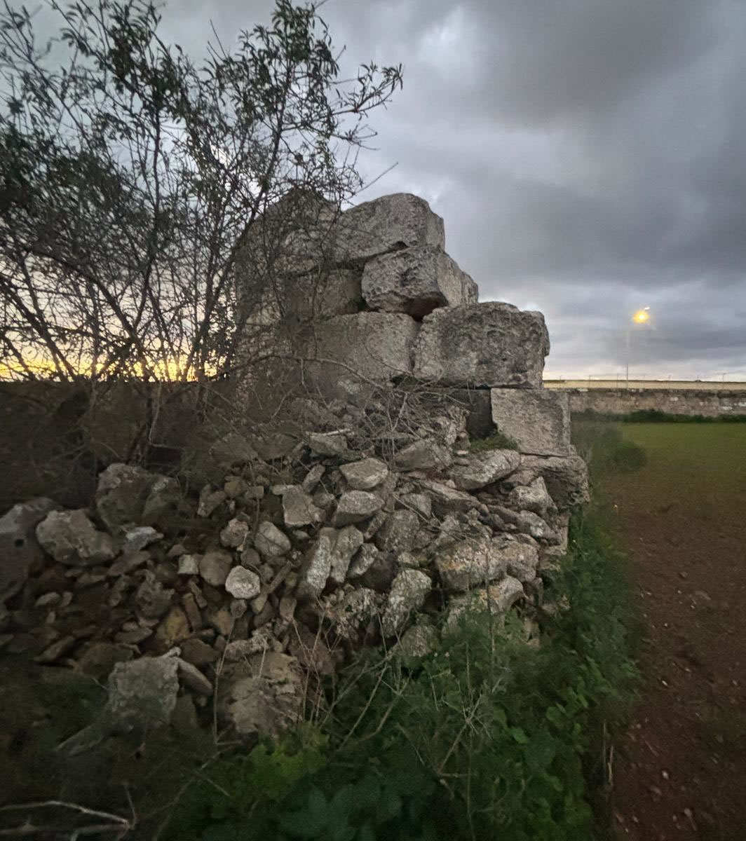 Punic Ta’ Wilġa Tower (L-Imqabba)