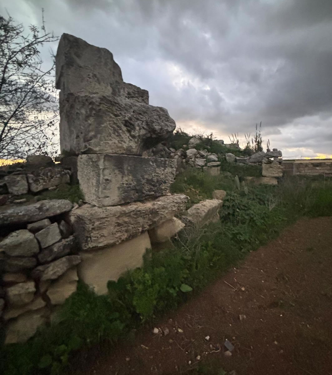 Punic Ta’ Wilġa Tower (L-Imqabba)