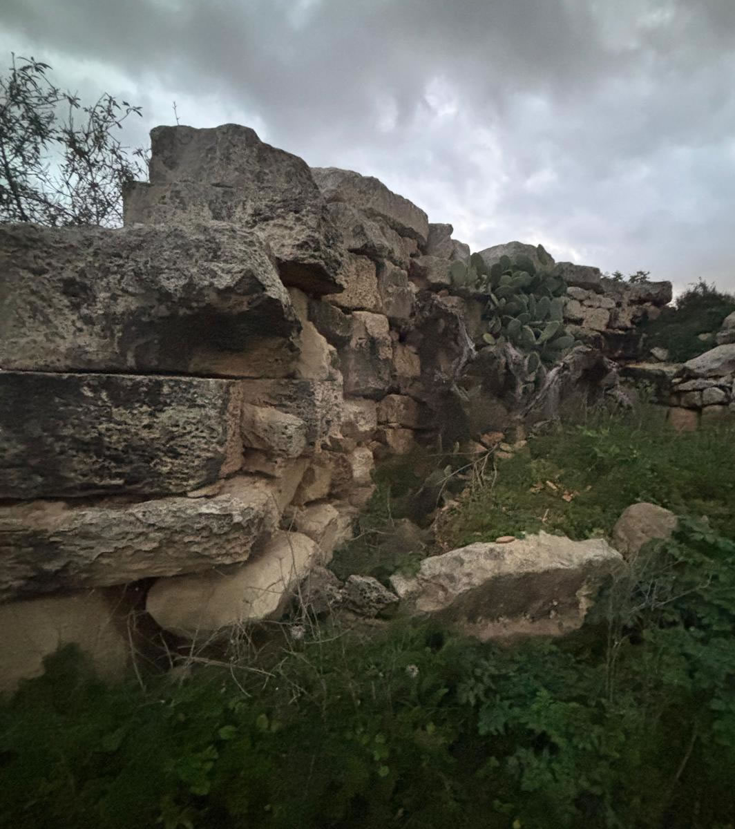 Punic Ta’ Wilġa Tower (L-Imqabba)