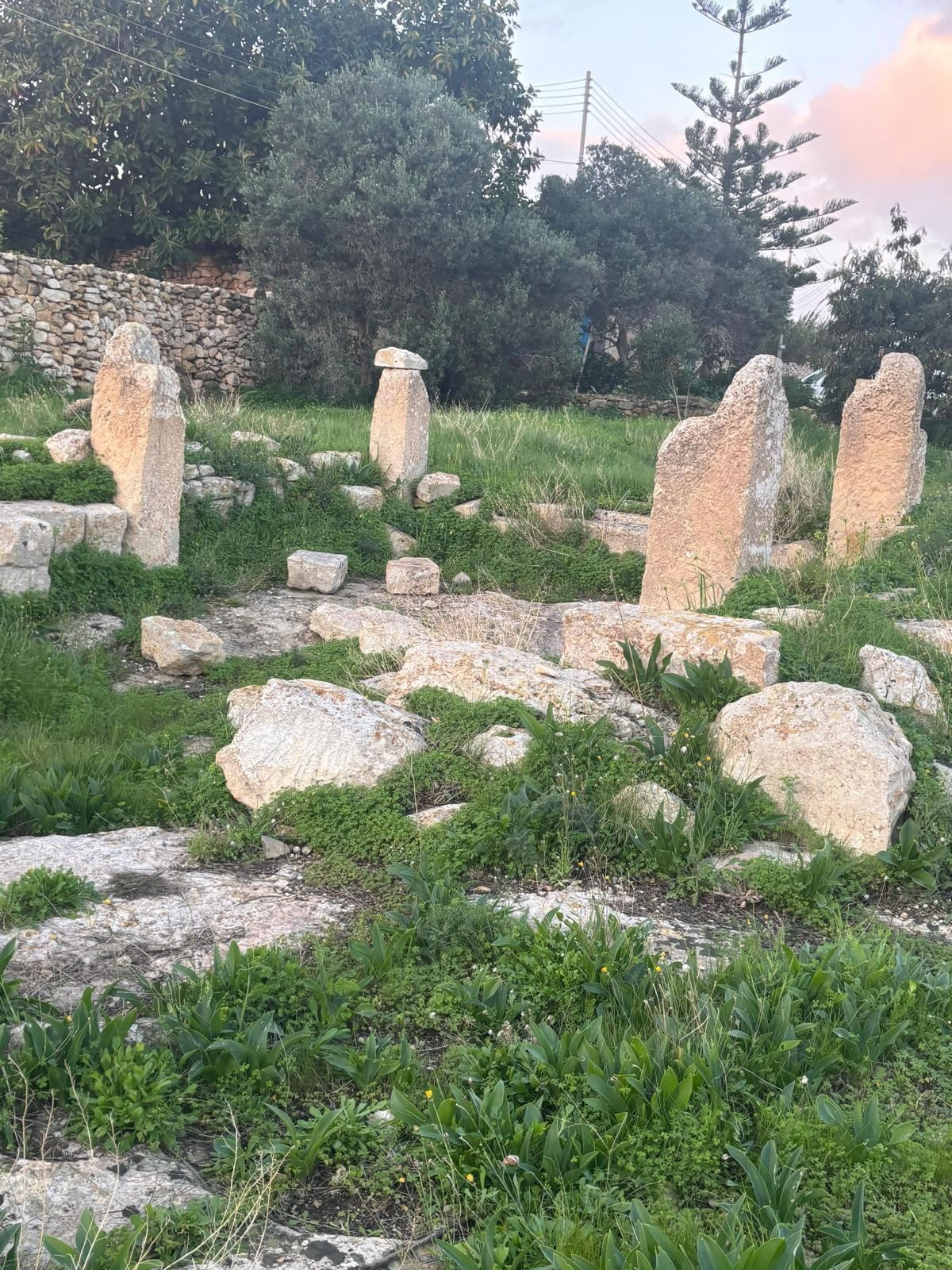 Tal-Bakkari Ruins — Punic Tower Site (Żurrieq, Malta)