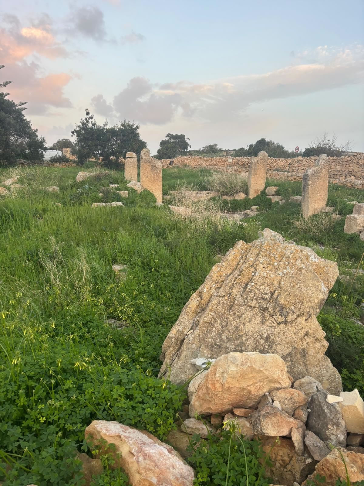 Tal-Bakkari Ruins — Punic Tower Site (Żurrieq, Malta)