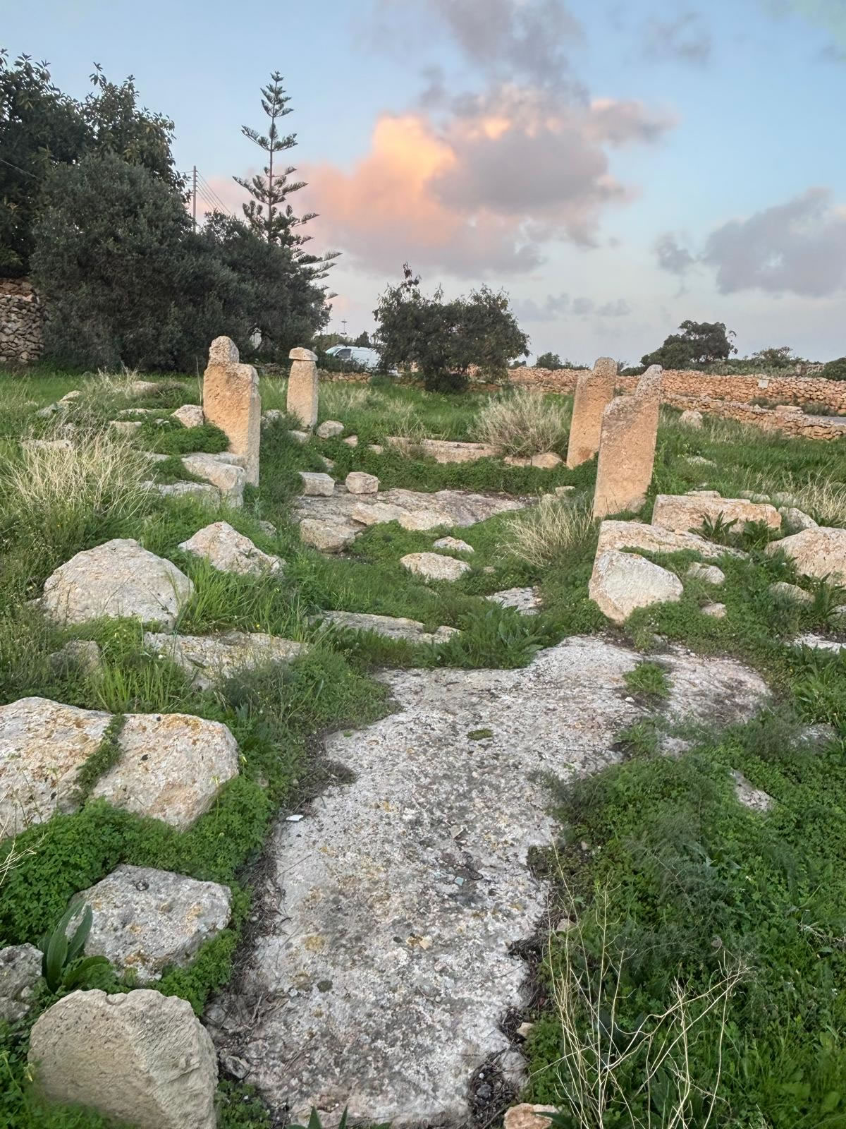 Tal-Bakkari Ruins — Punic Tower Site (Żurrieq, Malta)