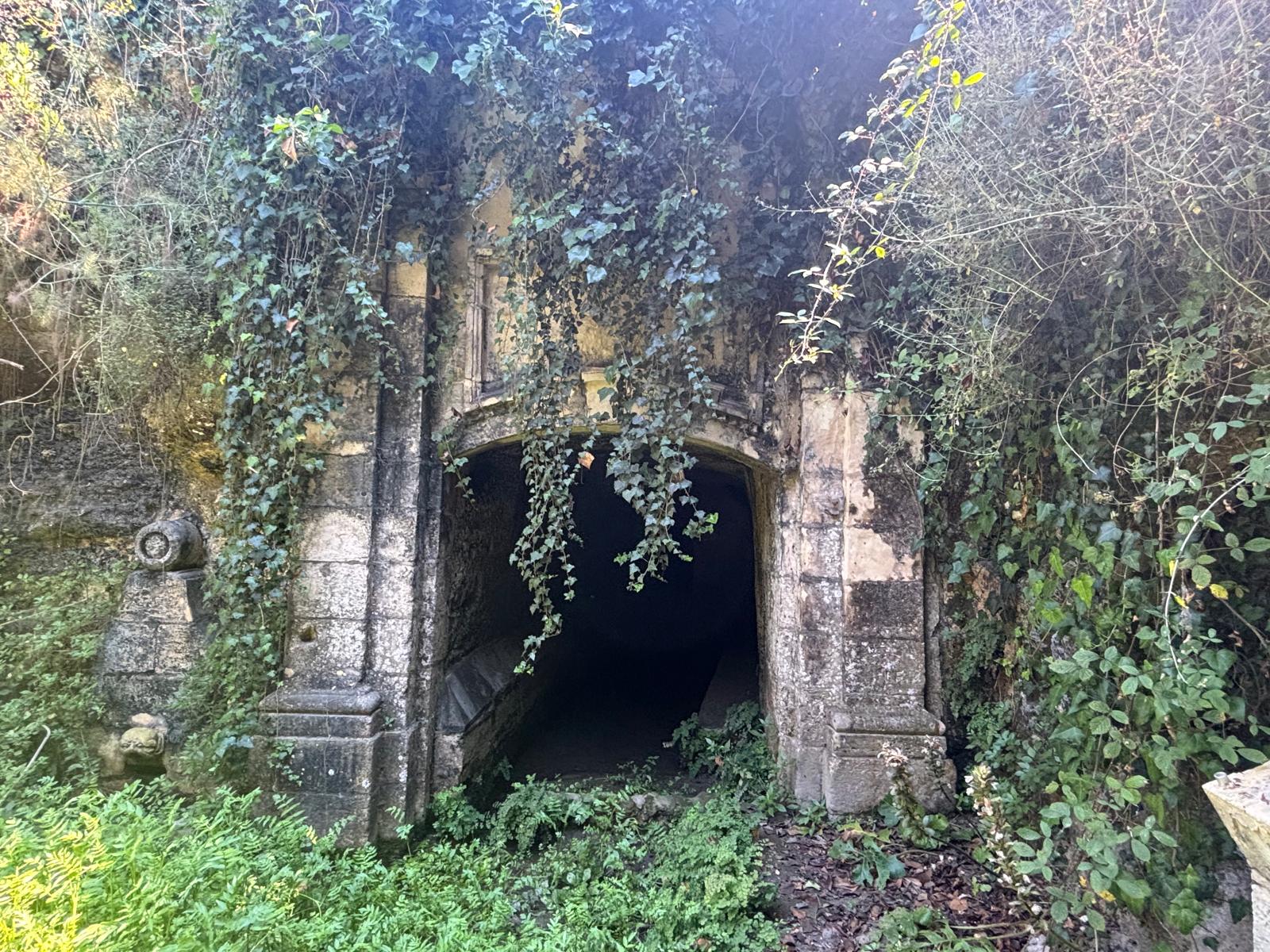 Cavernous stone arched entrance of Ghajn tal-Hasselin wash house in Dingli covered in dense green ivy and wild foliage