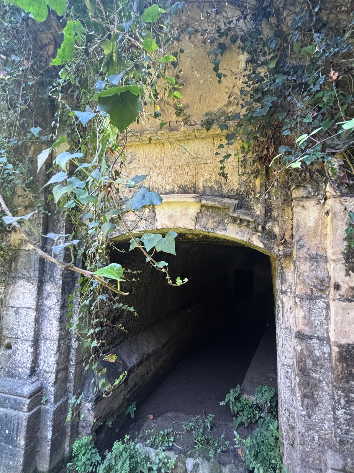 Close up detail of the limestone archway frame of the Dingli wash house with hanging ivy leaves