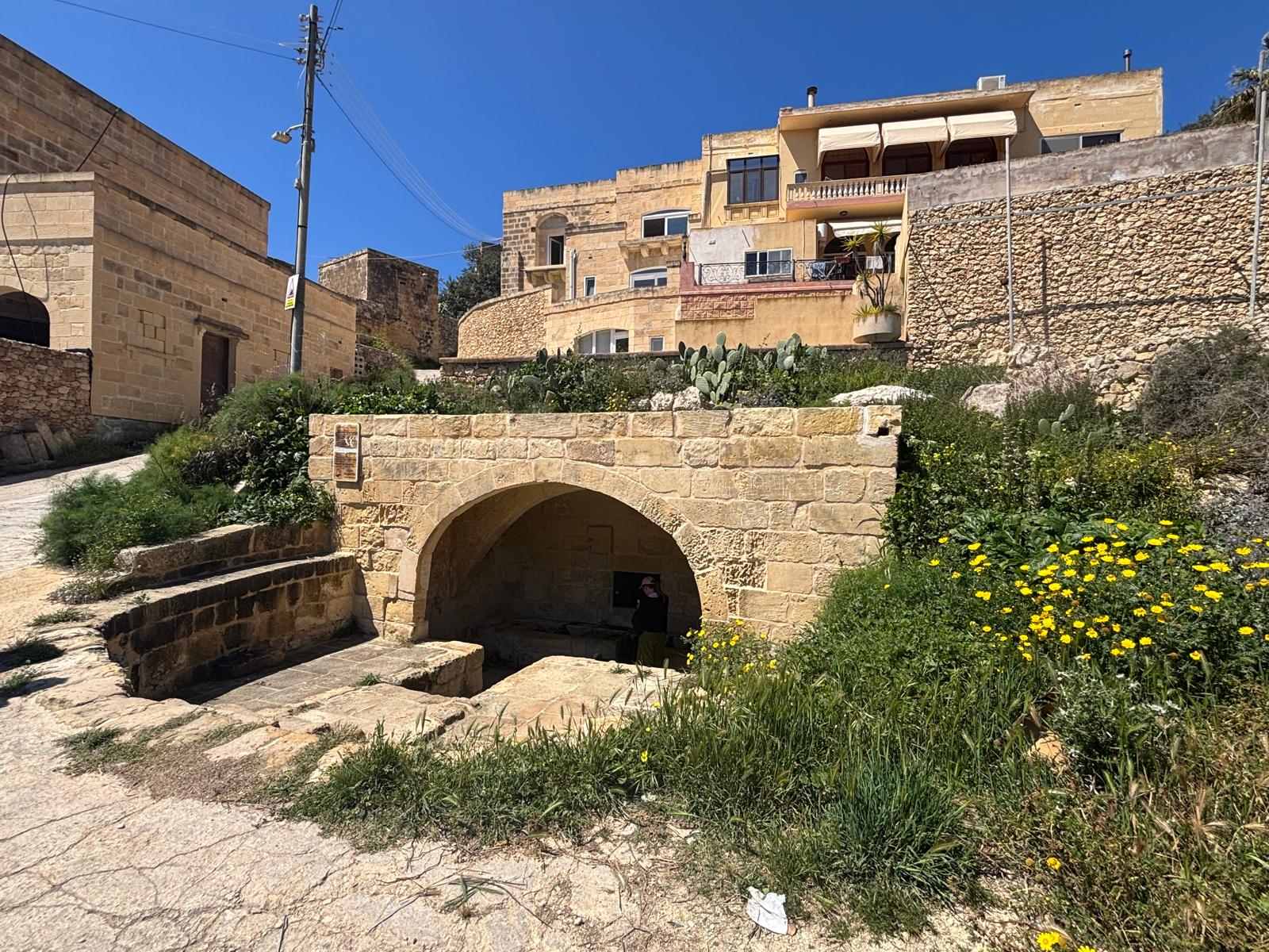 Għajn Tuta wash house nestled into the valley slope of Ta Kerċem Gozo with wild yellow flowers