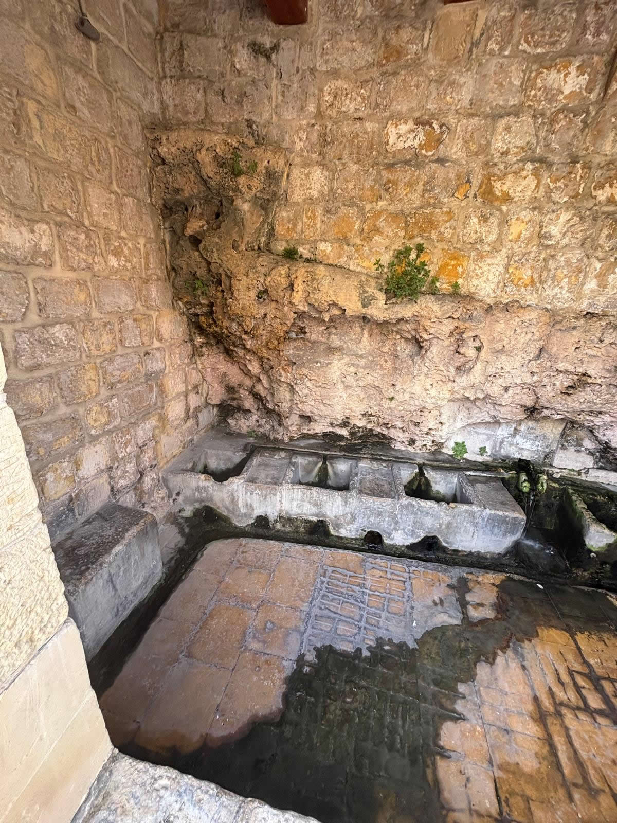 Left side view of the limestone troughs inside Ghajn ta Bendu showing natural water flow on the tiled floor