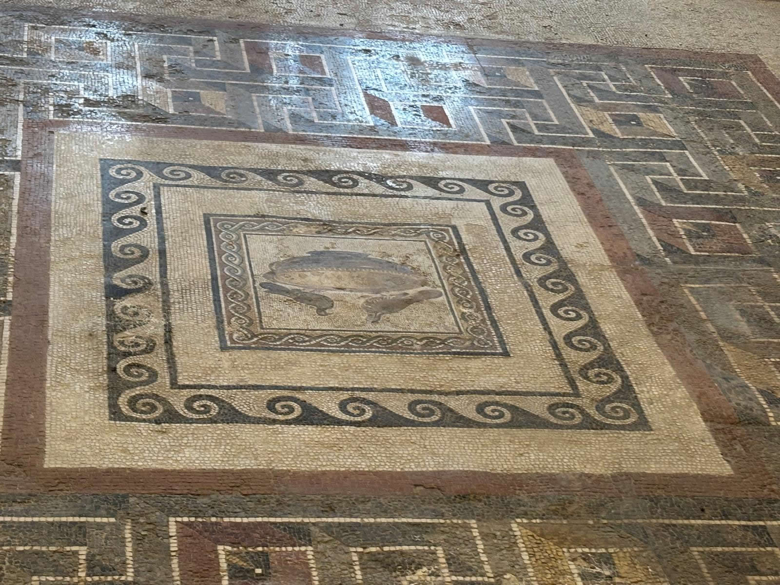 Roman Domus Rabat Malta mosaics