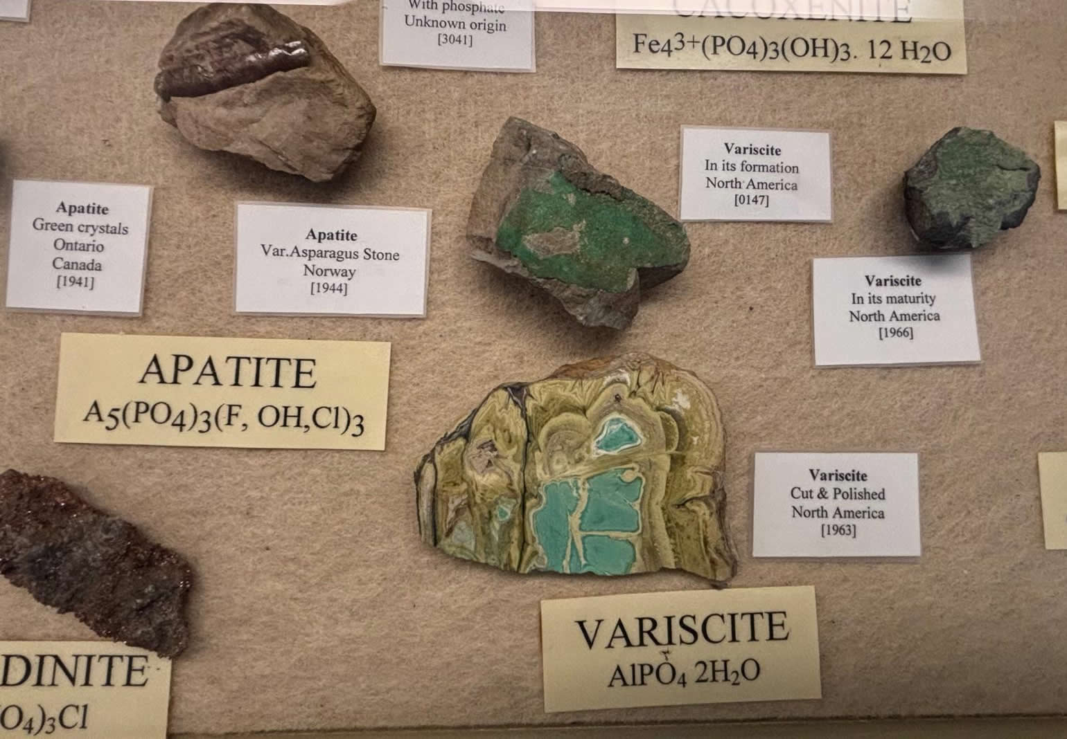 Vilhena Palace housing the National Museum of Natural History in Mdina