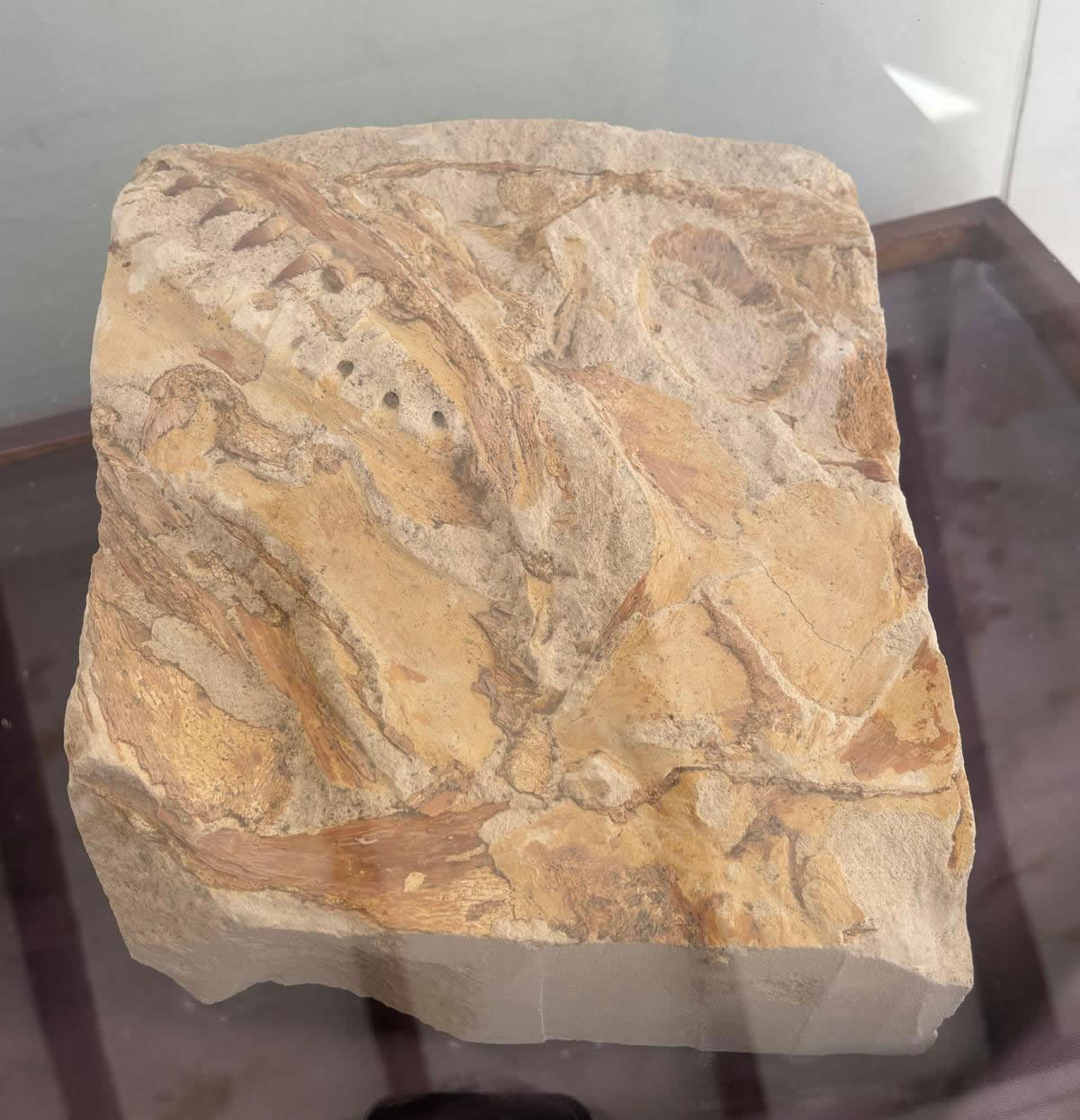 Vilhena Palace housing the National Museum of Natural History in Mdina