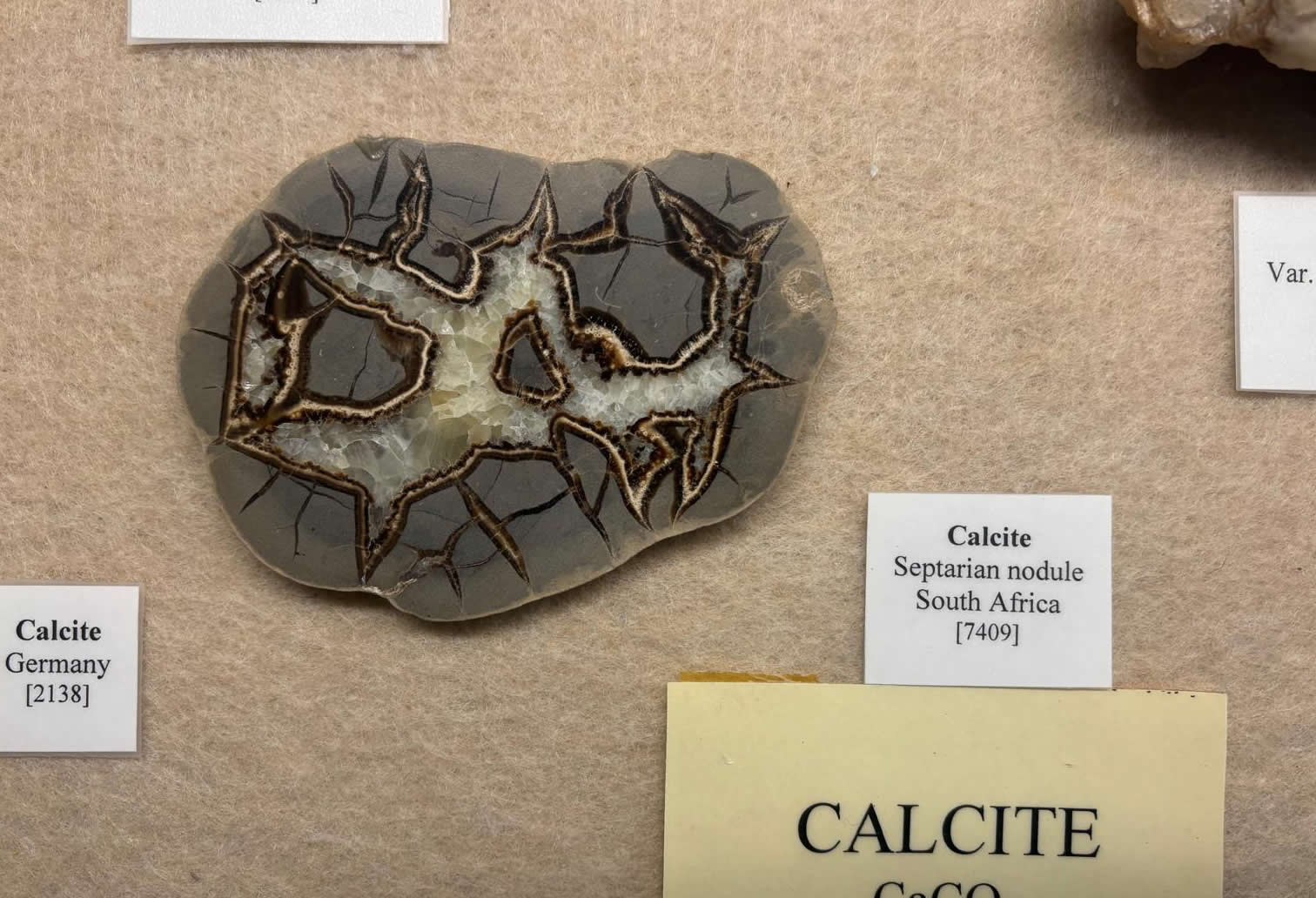 Vilhena Palace housing the National Museum of Natural History in Mdina