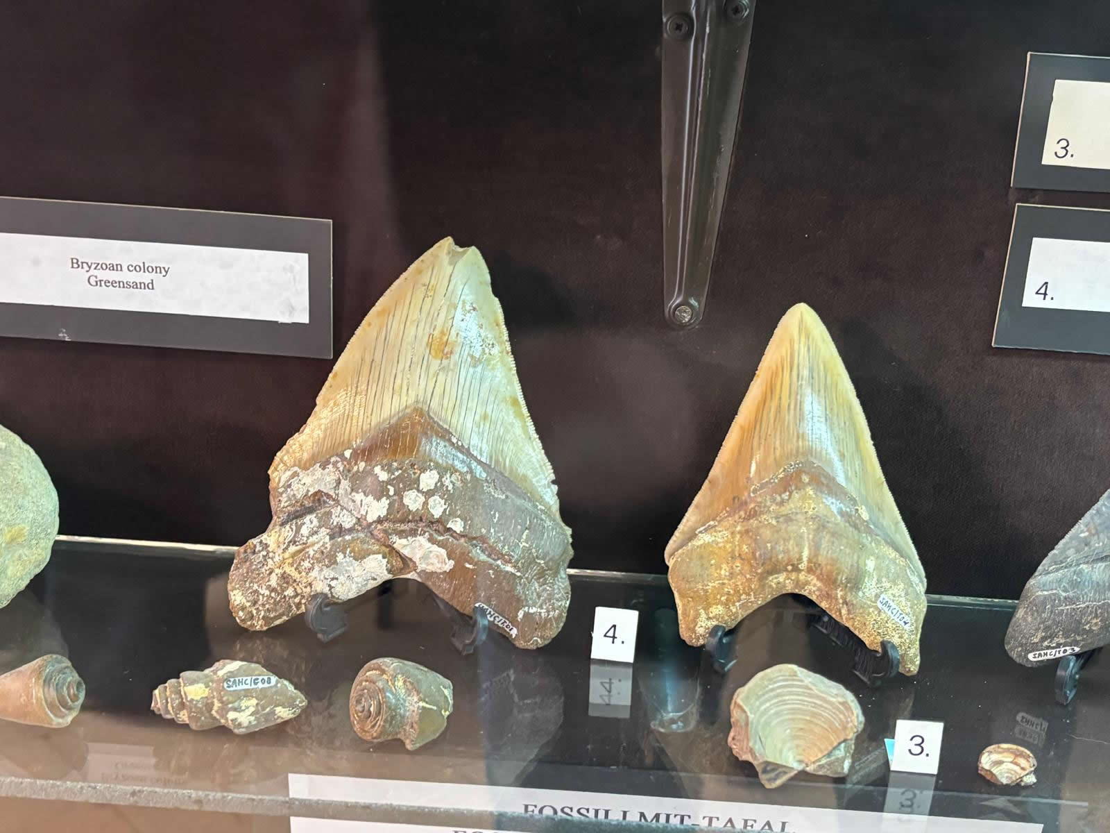 St Agatha Museum Rabat Malta