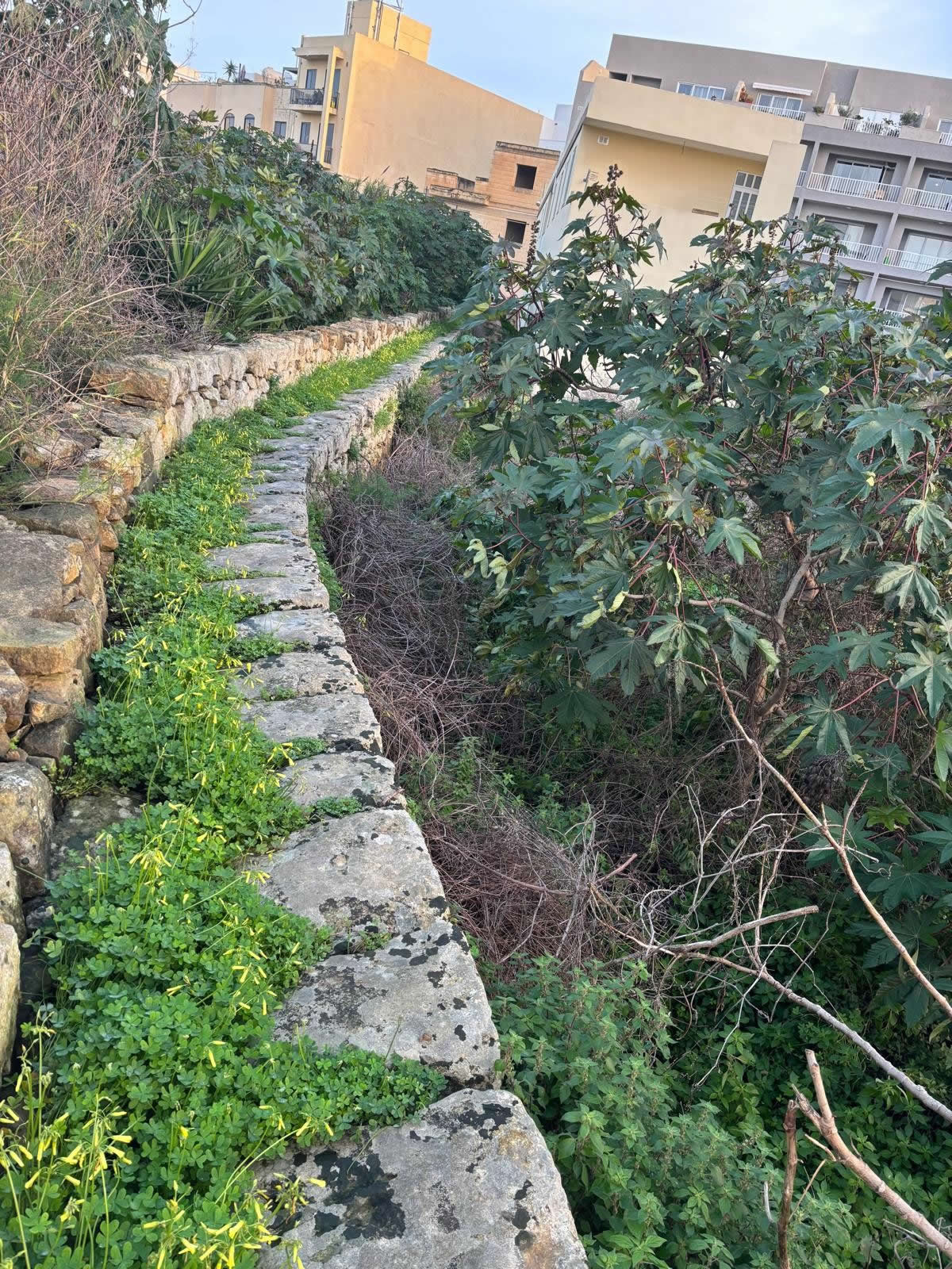 il-Ħajt tal-Matla (The Matla Wall)