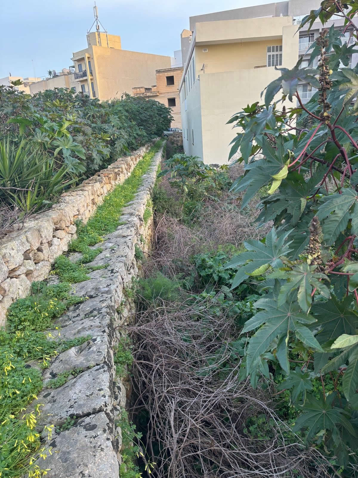 il-Ħajt tal-Matla (The Matla Wall)