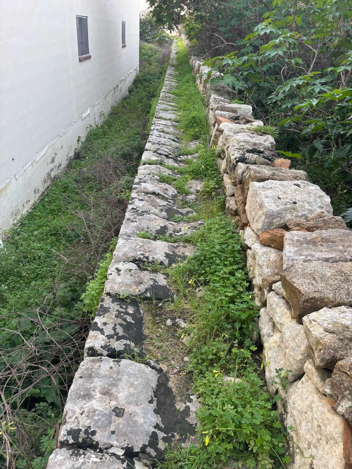 il-Ħajt tal-Matla (The Matla Wall)