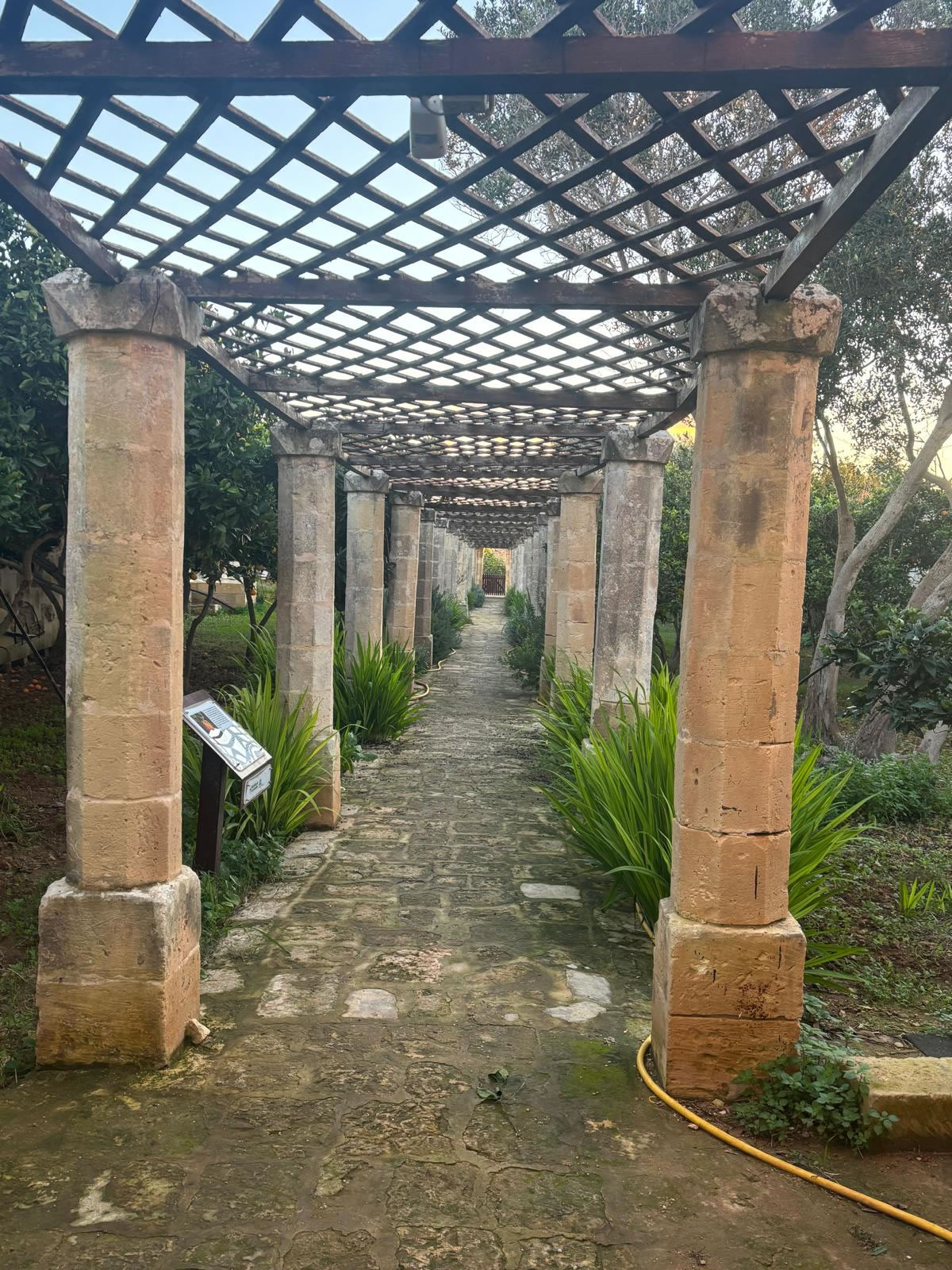 Sir Alexander Ball’s Garden, Ħal Safi 