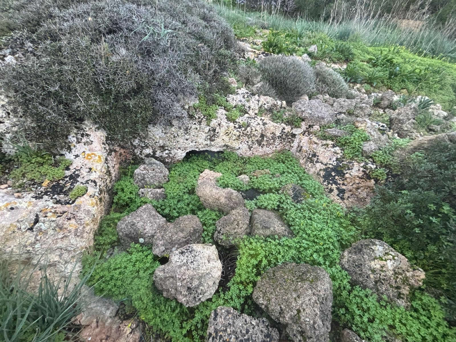 rock cut tomb near Fort Bengimma Rabat