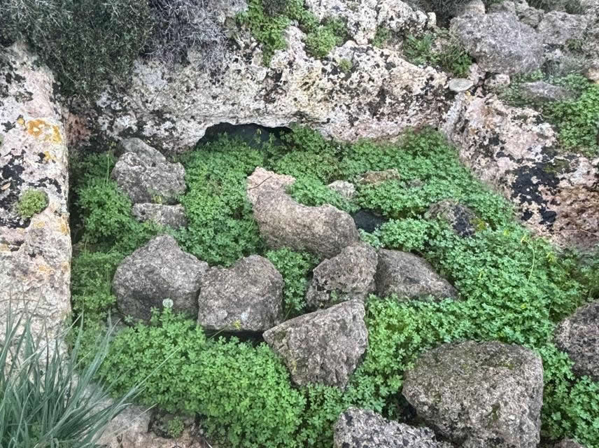 rock cut tomb near Fort Bengimma Rabat